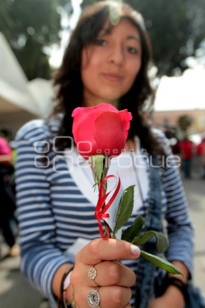 DIA DE LA MUJER