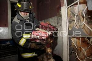 INCENDIO ANEXO AA "LUZ DE VIDA"