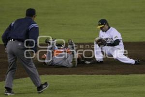 BEISBOL . PERICOS VS LEONES