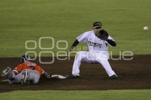 BEISBOL . PERICOS VS LEONES