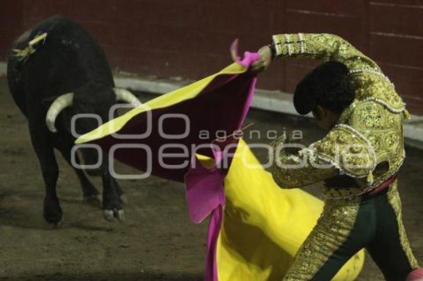 TOROS . JOSÉ LUIS ANGELINO