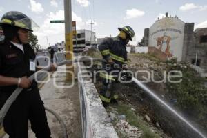 BOMBEROS . INCENDIO PASTIZAL