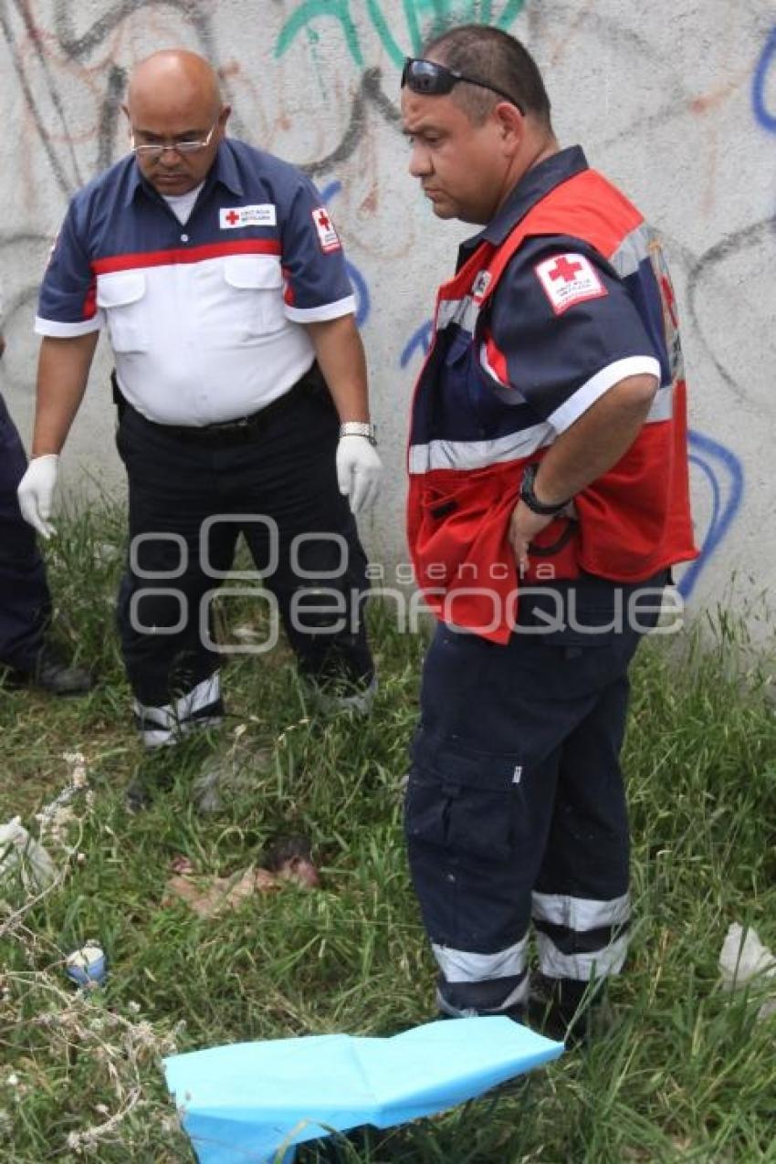 BEBE ABANDONADA EN TERRENO BALDIO