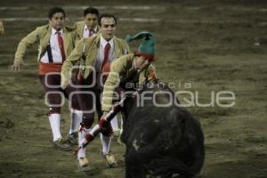 TOROS . FORCADOS