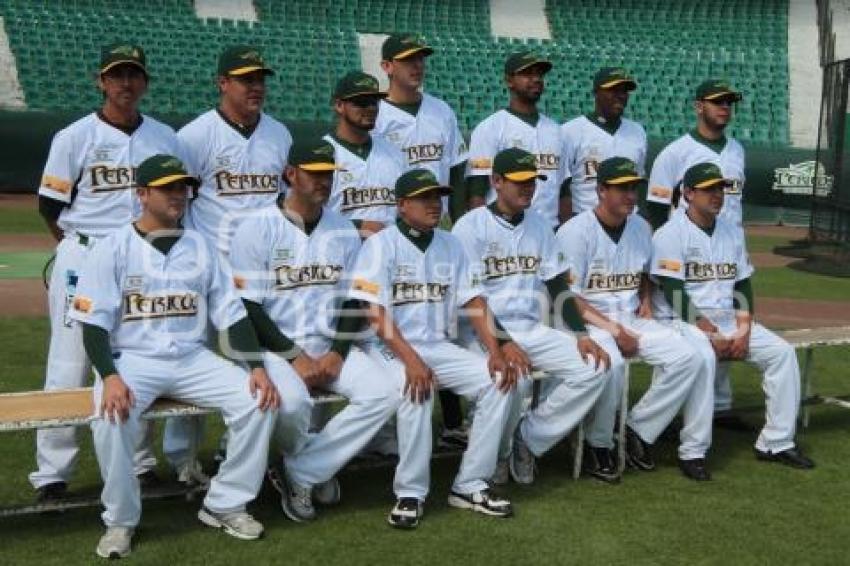 PERICOS - BEISBOL