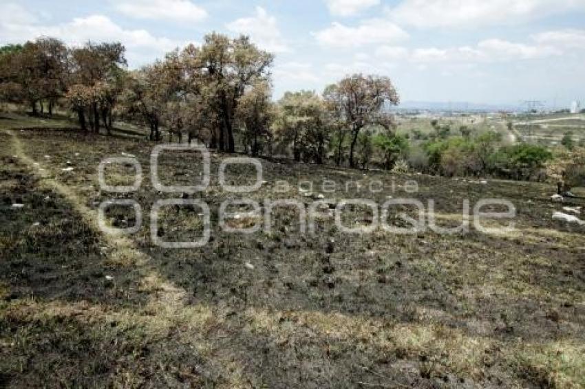 BOSQUE LA CALERA. INCENDIOS