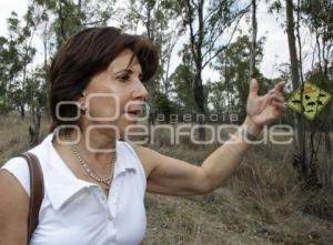 BOSQUE LA CALERA . VERONICA MASTRETA