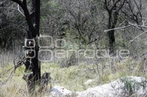 BOSQUE LA CALERA. INCENDIOS