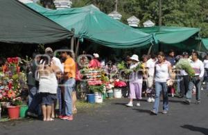 DIA DE LAS MADRES - PREPARATIVOS - PANTEON MUNICIPAL