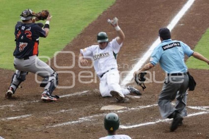 PERICOS VS TIGRES