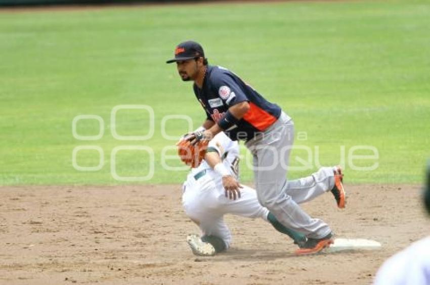 PERICOS VS TIGRES - BEISBOL