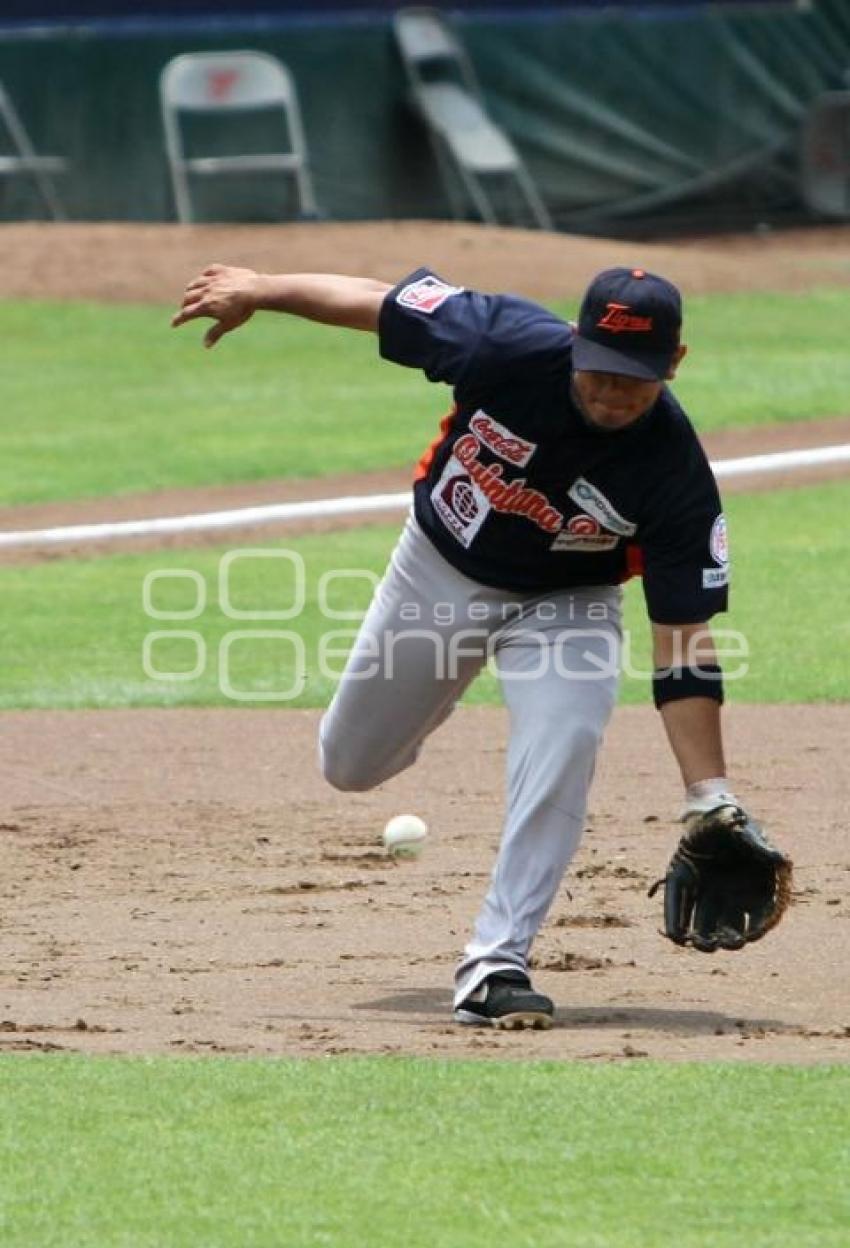 PERICOS VS TIGRES - BEISBOL