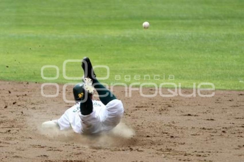 PERICOS VS TIGRES - BEISBOL