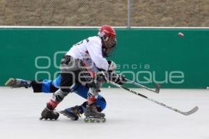 HOCKEY SOBRE RUEDAS - OLIMPIADA NACIONAL 2010