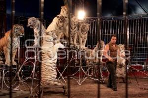 CIRCO ATAYDE. ESPECTÁCULOS. TIGRES