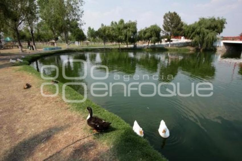 DÍA INTERNACIONAL DEL MEDIO AMBIENTE