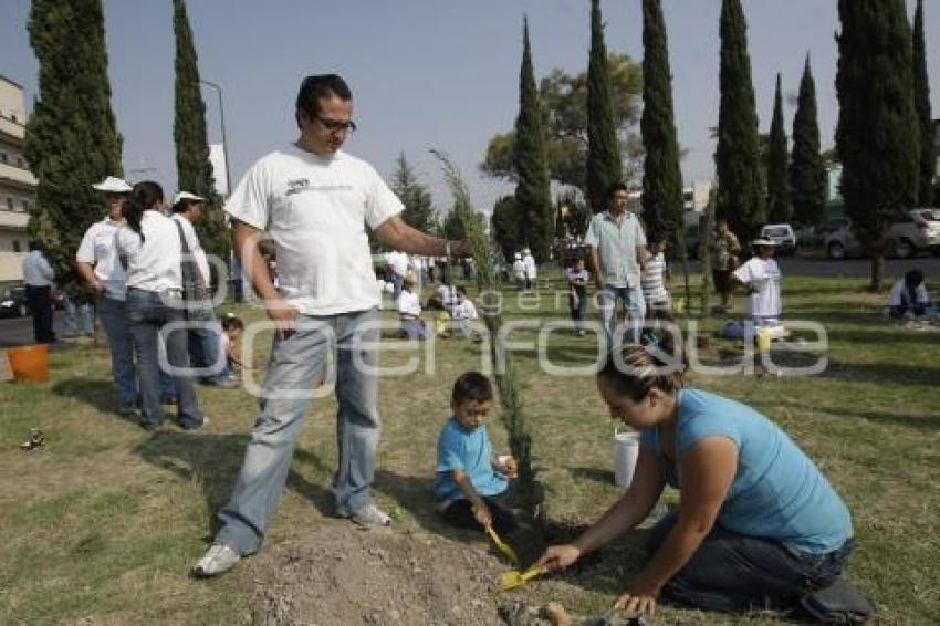 ECOLOGÍA . REFORESTACIÓN