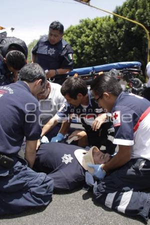 NOTA ROJA . POLICÍA ATROPELLADO