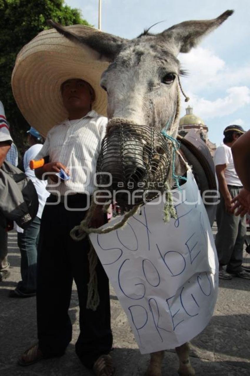 MARCHA DE CAMPESINOS EN DEFENSA DE LA TIERRA Y EL AGUA. ZÓCALO