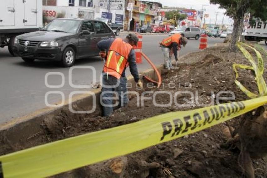 OBRAS - CARMEN SERDAN