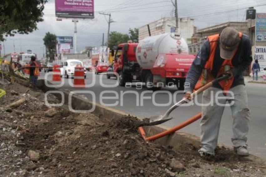 OBRAS - CARMEN SERDAN