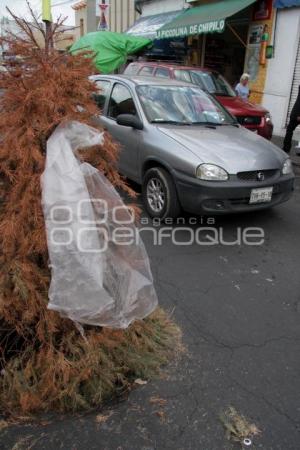 BACHE 27 PONIENTE