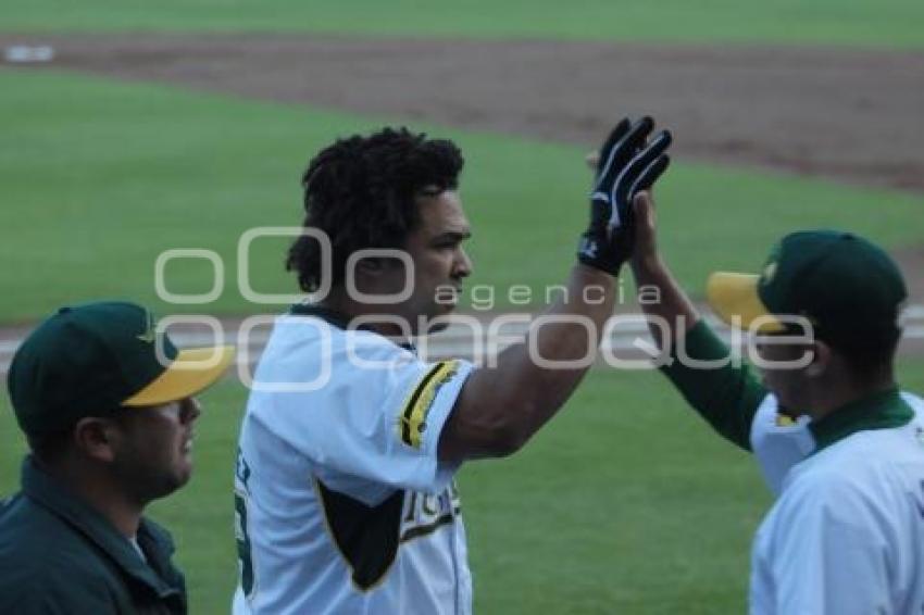 PERICOS VS TIGRES. BÉISBOL