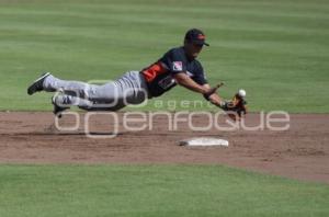 BÉIBOL. PERICOS VS TIGRES