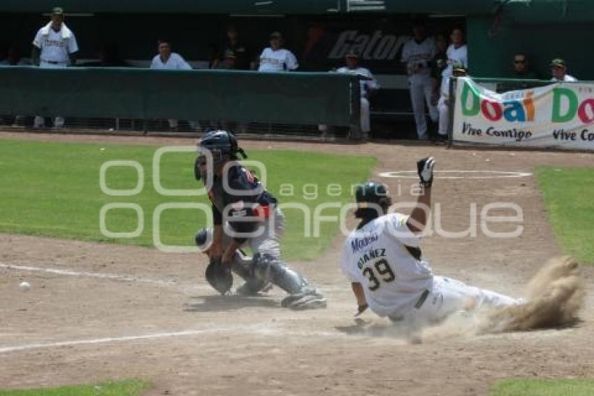 SERIE PERICOS VS TIGRES