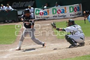 SERIE PERICOS VS TIGRES