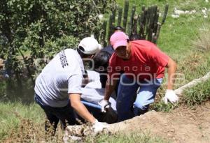 NOTA ROJA . ASESINATO EN BARRANCA