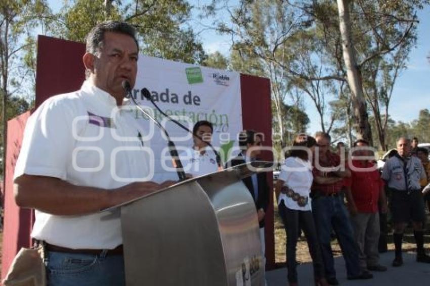 MANUEL JESÚS HERRERA. CONAFOR. REFORESTACIÓN CERRO AMALUCAN