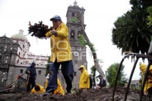 OBRAS EN EL ZOCALO - RETIRO DE  RAICES