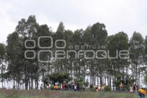 DÍA DEL ÁRBOL. PARQUE BICENTENARIO