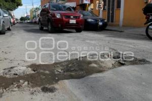 BACHE