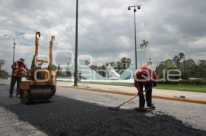 BACHEO. CALZADA IGNACIO ZARAGOZA