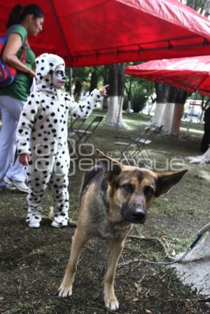 ADOPTA UNA MASCOTA