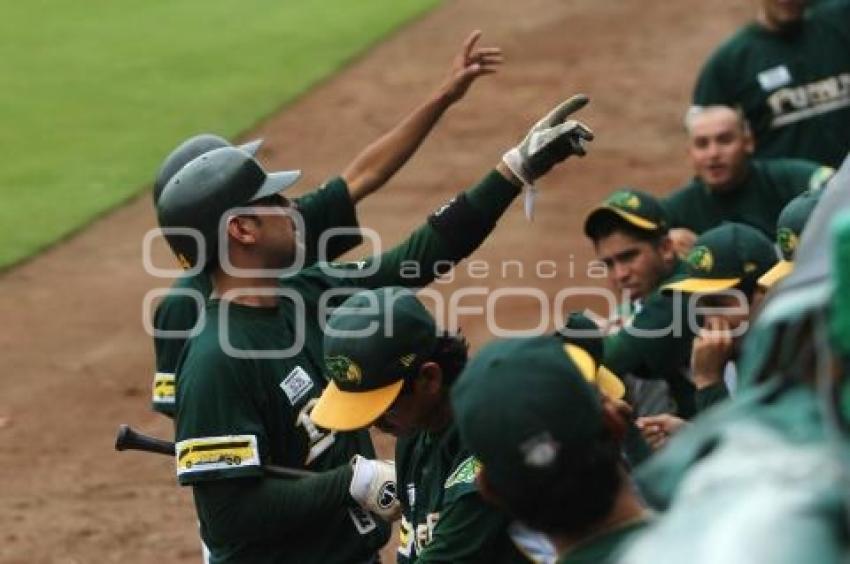 PERICOS VS PIRATAS - BEISBOL