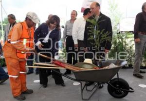 LIMPIEZA REFORESTACION ANILLO PERIFERICO