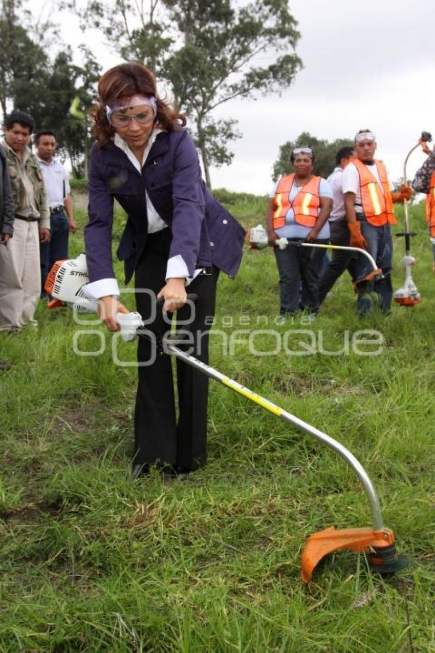 LIMPIEZA REFORESTACION ANILLO PERIFERICO