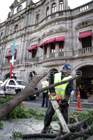 MANTENIMIENTO CENTRO HISTORICO