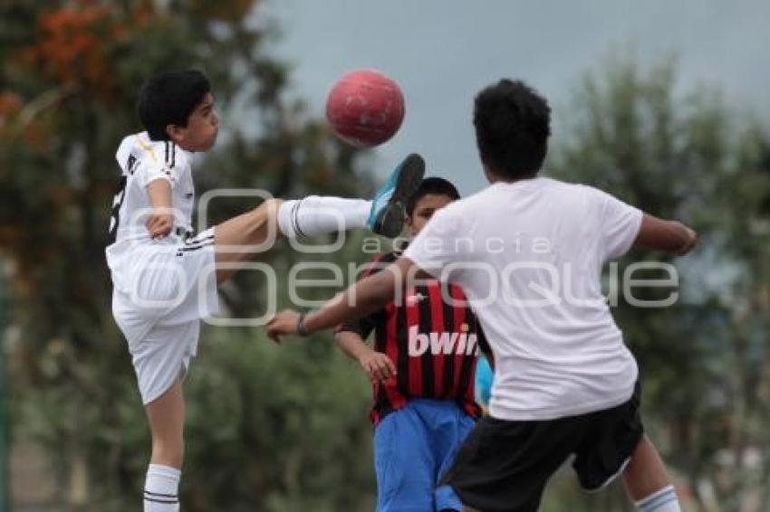 FÚTBOL INFANTIL. AMATEUR