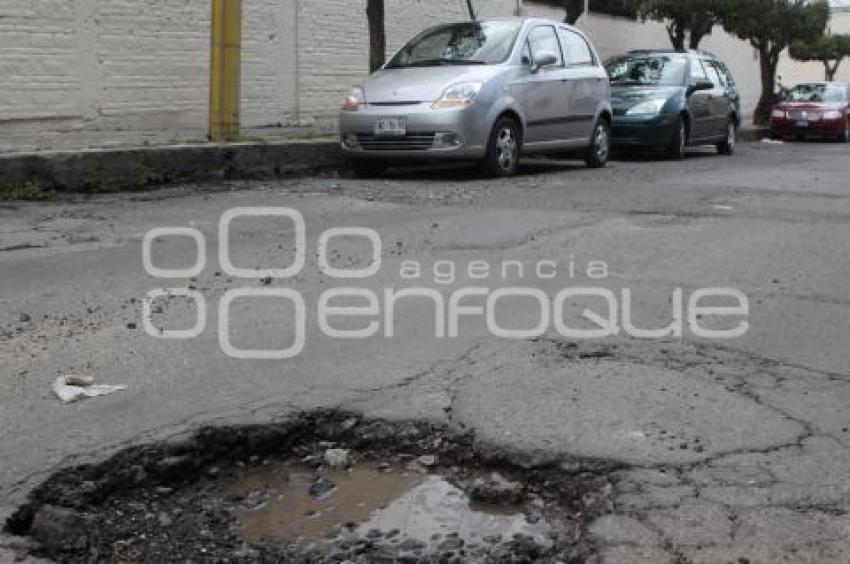 BACHES