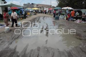 TIANGUIS GRANJAS DE SAN ISIDRO