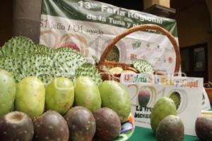 FERIA DE LA TUNA Y EL NOPAL