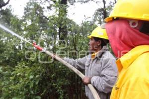 EMBAJADORA BRITANICA EN LA MALINCHE