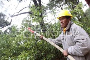 EMBAJADORA BRITANICA EN LA MALINCHE