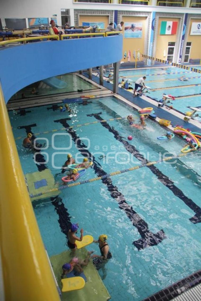 NATACION  -CURSOS