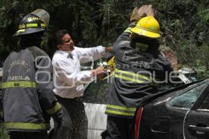 CAÍDA DE UN ÁRBOL. PASEO BRAVO