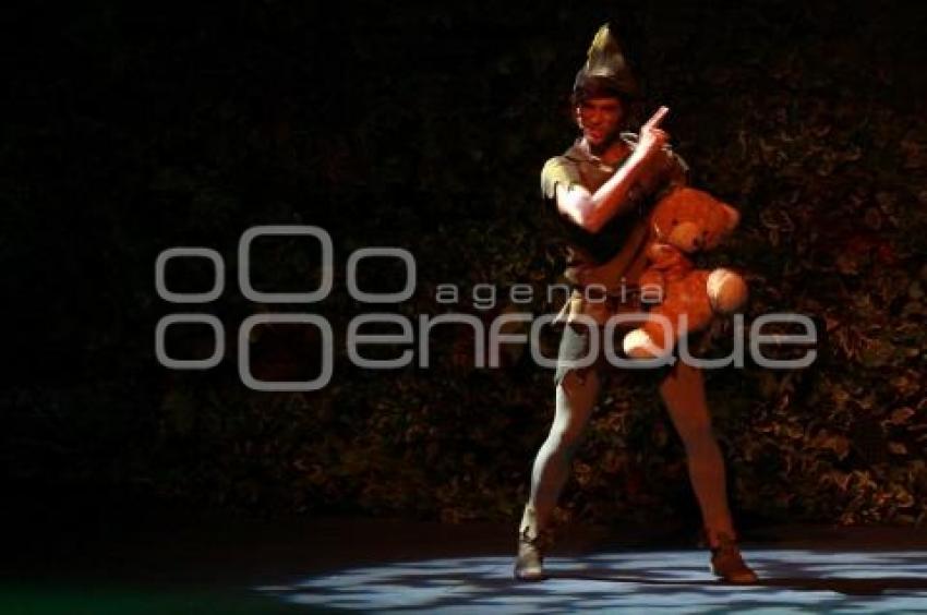 ESPECTÁCULOS. PETER PAN. MUSICAL